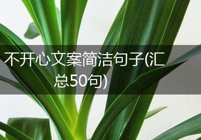 不开心文案简洁句子(汇总50句)