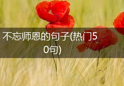 不忘师恩的句子(热门50句)