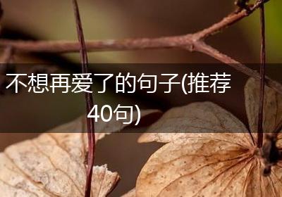 不想再爱了的句子(推荐40句)