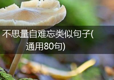 不思量自难忘类似句子(通用80句)