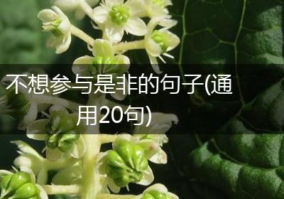 不想参与是非的句子(通用20句)