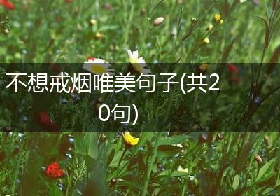 不想戒烟唯美句子(共20句)