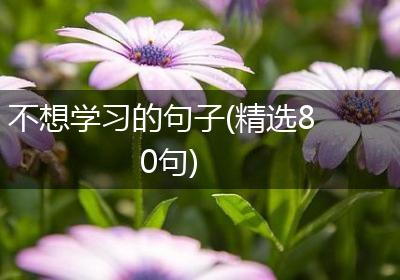 不想学习的句子(精选80句)