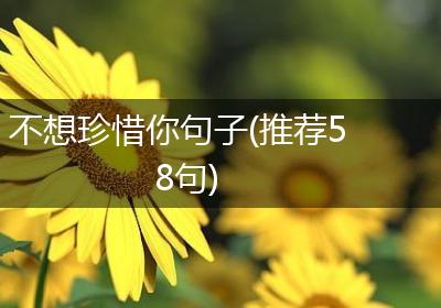 不想珍惜你句子(推荐58句)