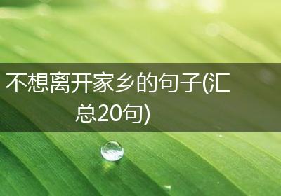 不想离开家乡的句子(汇总20句)