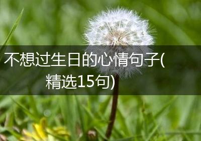 不想过生日的心情句子(精选15句)