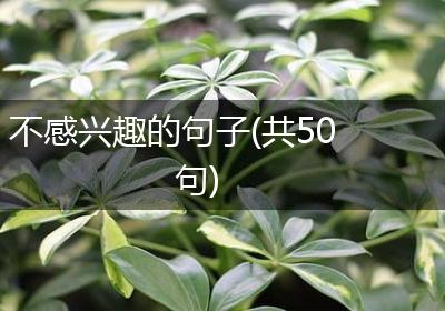 不感兴趣的句子(共50句)