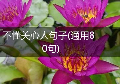 不懂关心人句子(通用80句)