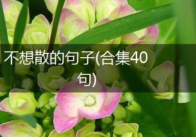 不想散的句子(合集40句)