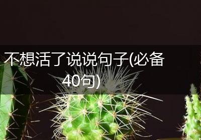 不想活了说说句子(必备40句)