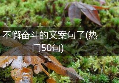 不懈奋斗的文案句子(热门50句)