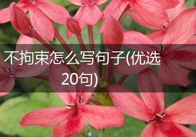 不拘束怎么写句子(优选20句)