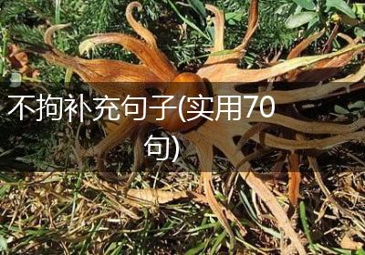 不拘补充句子(实用70句)