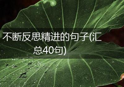 不断反思精进的句子(汇总40句)