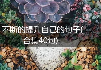 不断的提升自己的句子(合集40句)