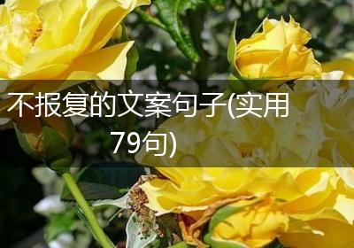 不报复的文案句子(实用79句)