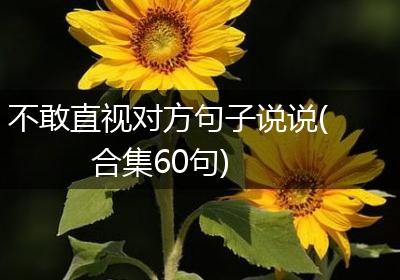 不敢直视对方句子说说(合集60句)