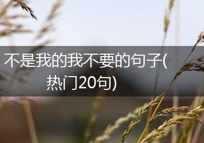 不是我的我不要的句子(热门20句)