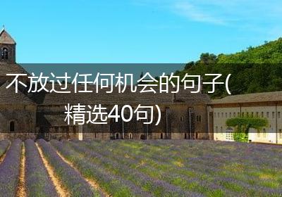 不放过任何机会的句子(精选40句)