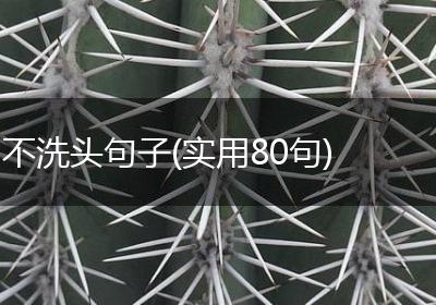 不洗头句子(实用80句)