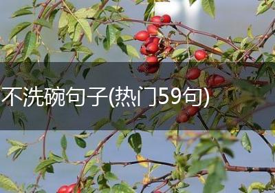 不洗碗句子(热门59句)