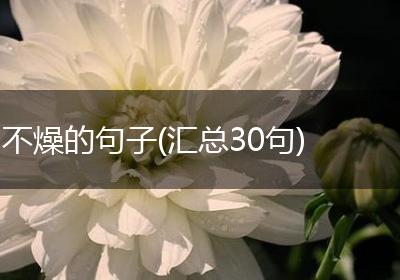 不燥的句子(汇总30句)