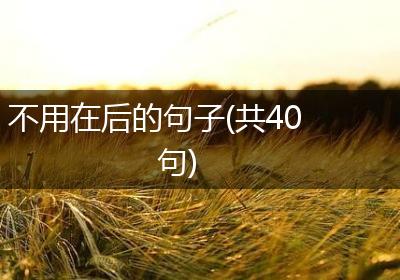 不用在后的句子(共40句)