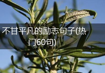不甘平凡的励志句子(热门60句)