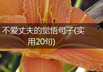 不爱丈夫的觉悟句子(实用20句)