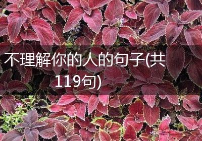 不理解你的人的句子(共119句)