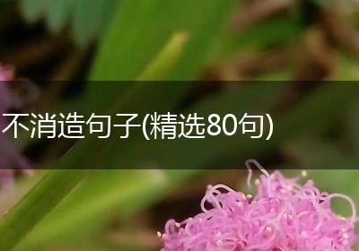 不消造句子(精选80句)