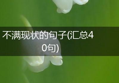 不满现状的句子(汇总40句)