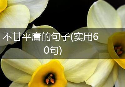 不甘平庸的句子(实用60句)