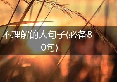 不理解的人句子(必备80句)