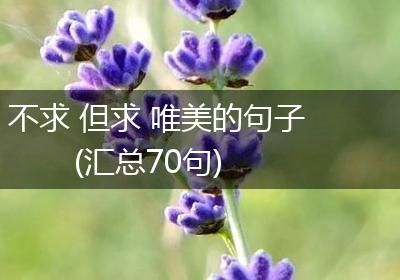 不求 但求 唯美的句子(汇总70句)