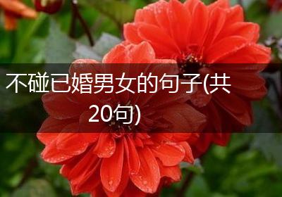 不碰已婚男女的句子(共20句)