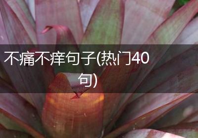 不痛不痒句子(热门40句)