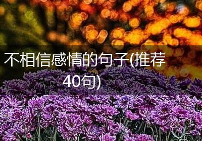 不相信感情的句子(推荐40句)
