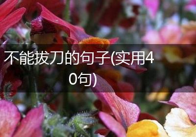 不能拔刀的句子(实用40句)