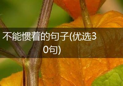 不能惯着的句子(优选30句)
