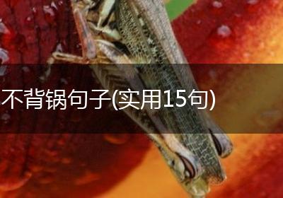 不背锅句子(实用15句)