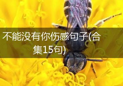 不能没有你伤感句子(合集15句)