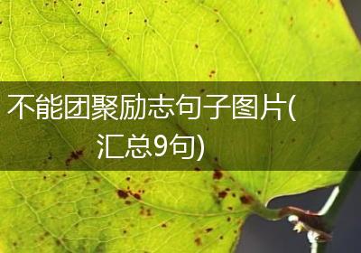 不能团聚励志句子图片(汇总9句)