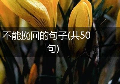 不能挽回的句子(共50句)
