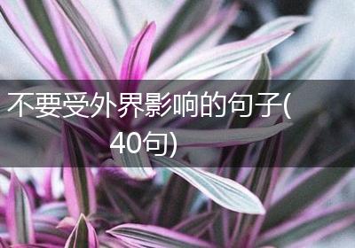 不要受外界影响的句子(40句)