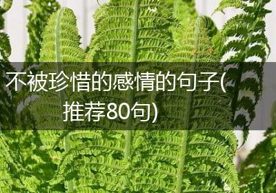 不被珍惜的感情的句子(推荐80句)