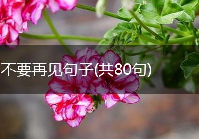不要再见句子(共80句)
