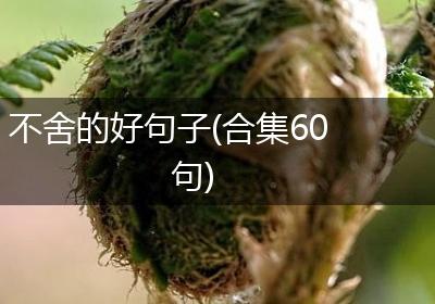 不舍的好句子(合集60句)