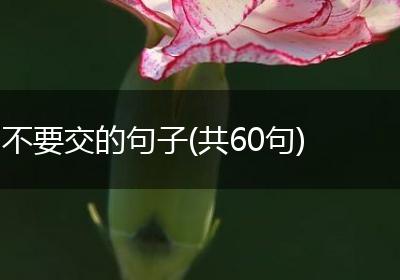 不要交的句子(共60句)