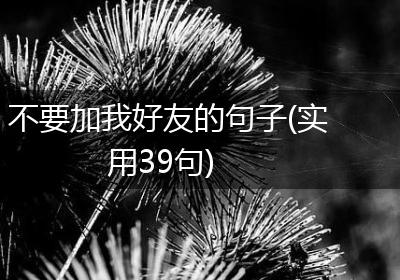 不要加我好友的句子(实用39句)